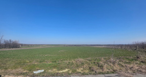 Teren de vanzare, 3800 mp, zona Mischii sat Gogosesti