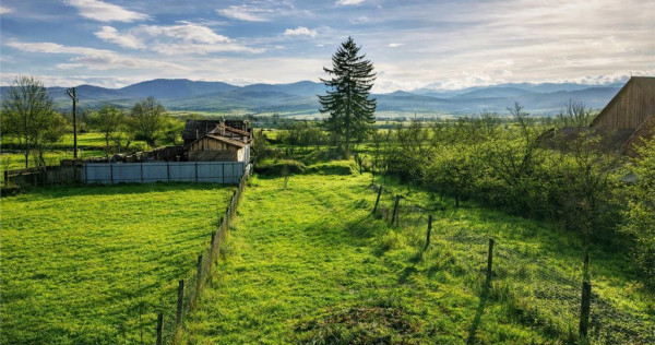 Gospodarie cu anexa, pivnita, iaz cu pesti si 2.280 mp de te