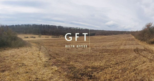 Teren extravilan , zona Valea Castailor - investitie prof...