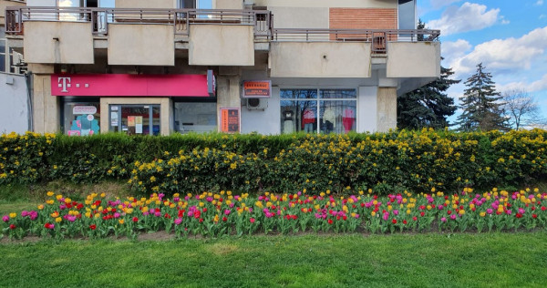 De &icirc;nchiriat spațiu comercial ultracentral mun C&acirc;mpina