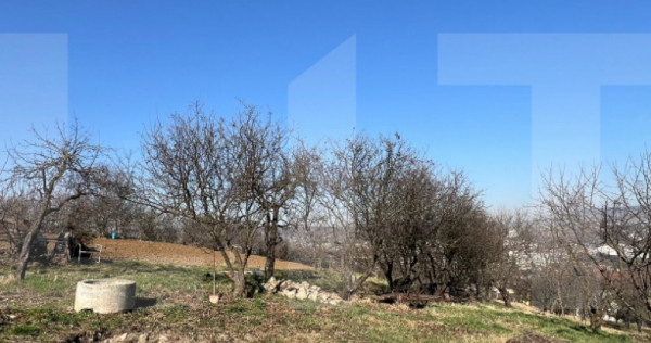 Teren intravilan de vanzare - Zorilor