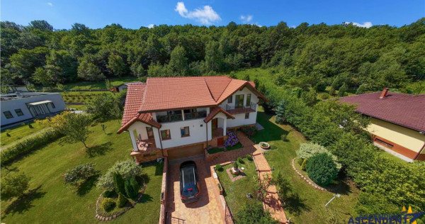 FILM! Vila rafinata, intr- un mediu natural de elita, Pestis