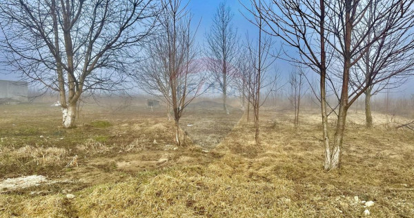 Teren 500mp Turturesti / Strada Principala