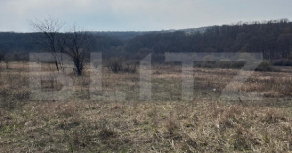 Teren intravilan de vanzare, 9783 mp, Paleu zona Iacului