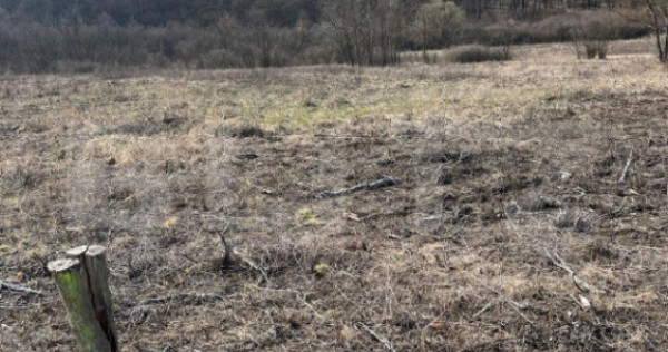 Teren intravilan de vanzare, 9783 mp, Paleu zona Iacului