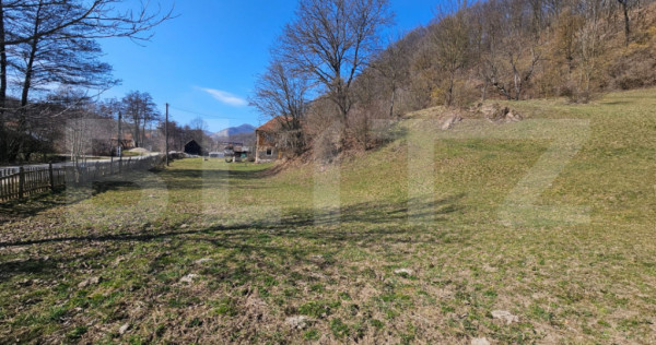 Teren intravilan 6.820 mp cu casă, pădure și r&acirc;u &ndash; Alm