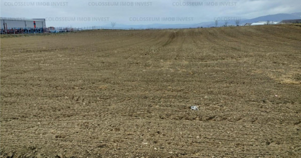 Oportunitate! Teren Industrial - Zona Darste