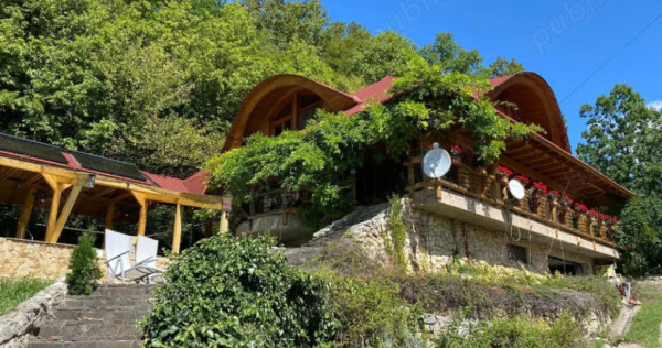 Domeniu exclusivist 17.000 mp | Vilă luxury cu piscină & S