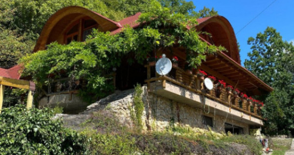 Domeniu exclusivist 17.000 mp | Vilă luxury cu piscină & S