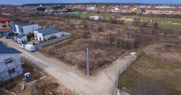 BALOTESTI &ndash; SAFTICA, LOT DE COLT 400 MP, AUTORIZATIE DE CO