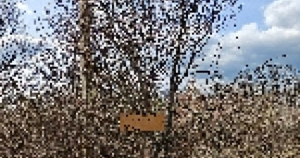 Teren Intravilan 1.472 mp Cotmeana - Lintești, Ag.