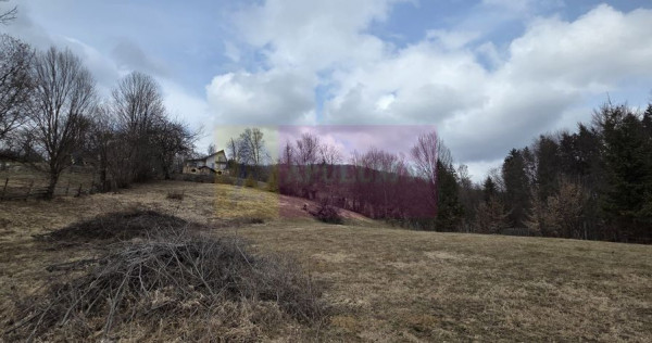 Teren intravilan de vanzare in Valea Doftanei