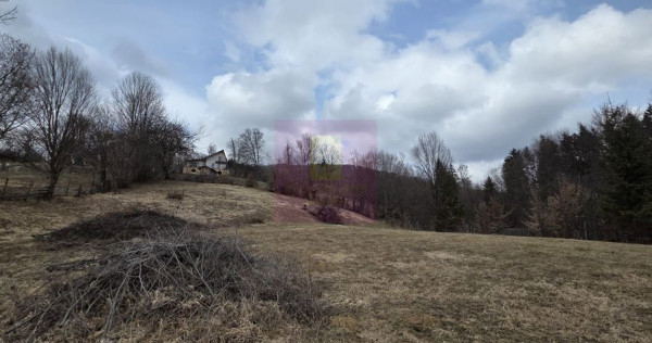 Teren intravilan de vanzare in Valea Doftanei