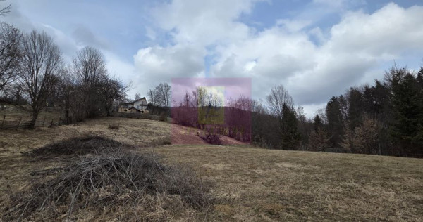Teren intravilan de vanzare in Valea Doftanei