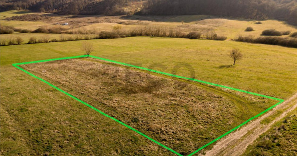 RECO teren intravilan in Betfia