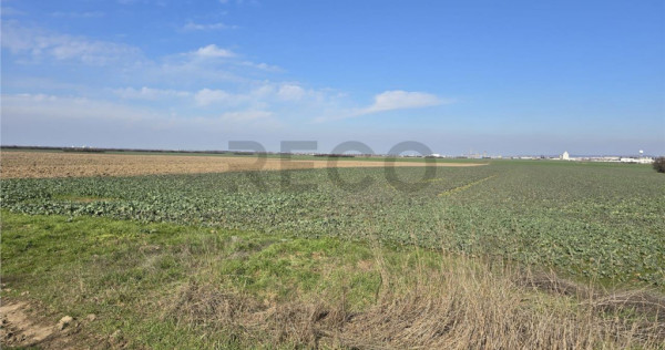 RECO Teren in Oradea