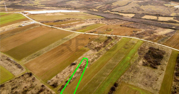 RECO Teren intravilan in Paleu