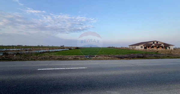 Teren 12,360mp Botarlau / Strada Unirii