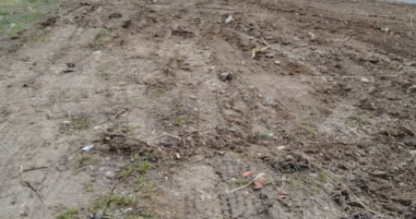 Teren intravilan 500 mp, deschidere 16 ml, zonă Micro 11