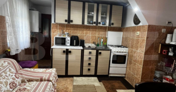 Casa individuala in zona Parcului Central