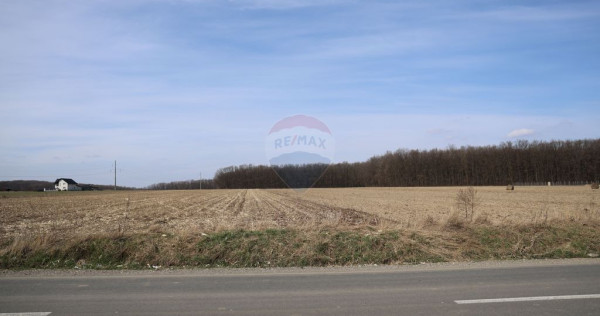 Teren 9,740mp Suceava / Strada Principala