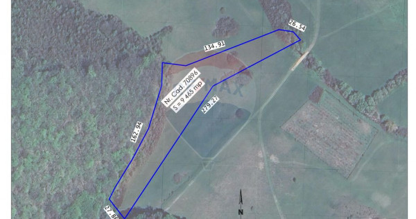 Teren intravilan, 9465 mp, Betfia, l&acirc;ngă pădure, de v?...