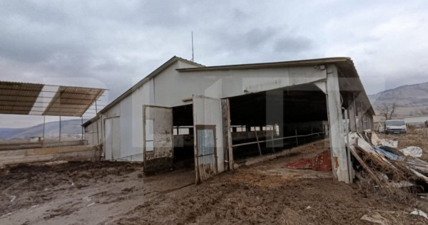 TEREN - GRAJD 6600MP, DEPOZIT, HALA ZONA BLAJ