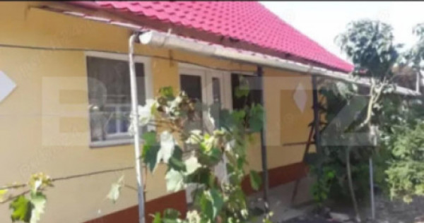 Doua case intr-o curte de 952 mp, Paleu-liniste, spatiu, po