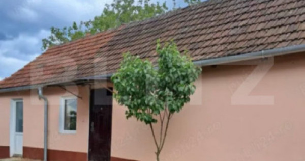 Doua case intr-o curte de 952 mp, Paleu-liniste, spatiu, po