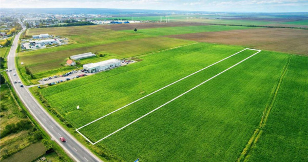 FILM! Teren intravilan 7.850 mp, Chilieni, Sfantu Gheorghe