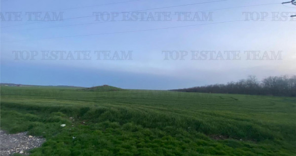 Teren intravilan 15000 mp Costinesti, Constanta