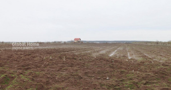 Teren 4000 mp l&acirc;ngă Pădurea Petrești | Investiție dezvo