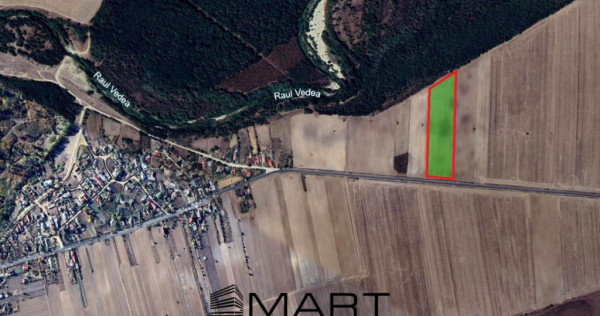 Teren arabil sat Cucueti