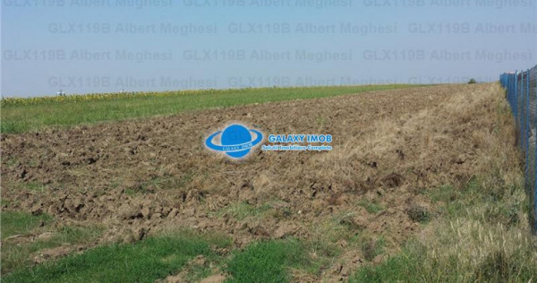 Teren Intravilan Herasti Giurgiu 2 HA