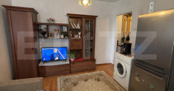 Apartament de vanzare, 2 camere, 27 mp, zona Rovinari