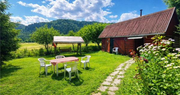 FILM Tur LIVE! Casa de vacanta, intr- o ariere admirabila,Lu