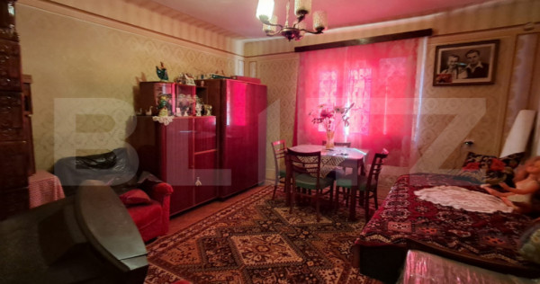Proprietate cu potențial: casă bătr&acirc;nească + teren 386