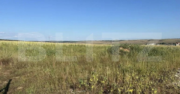 Teren intravilan, suprafata 11500 mp, zona Marghita