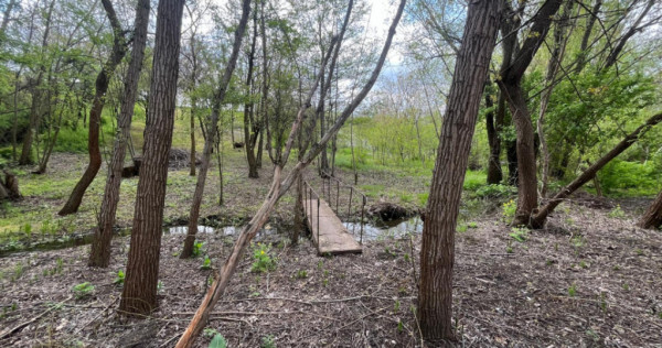 Teren 2117 mp &icirc;n Malu Mare, cadru natural cu p&acirc;r&acirc;u