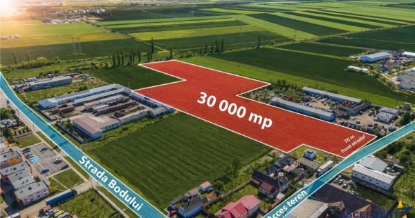 FILM! 10.000mp teren intravilan, Central, Halchiu, Brasov