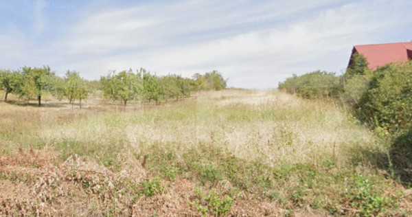 TEREN INTRAVILAN CONSTRUCTII COCOSETI/PAULESTI