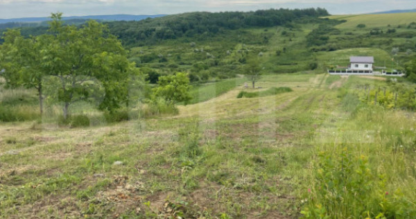 Teren 500 mp intravilan Valea Ursului-