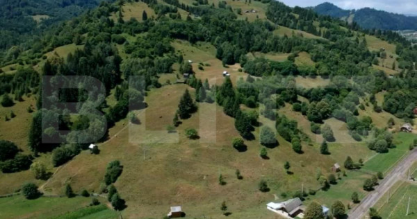 Teren &icirc;n Vama, 13.050 mp, județul Suceava, Bucovina, intra