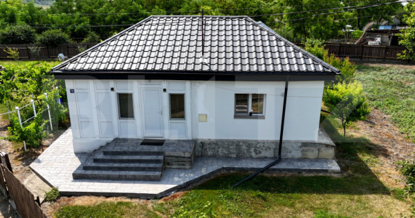 Casă de v&acirc;nzare, 55 mp, zona Erbiceni