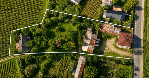 Proprietate unica in zona viticola Odobesti, Vrancea, casa b