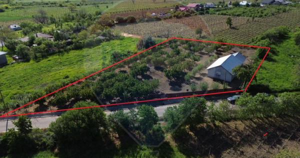Casa cu 3094mp livada Cotesti