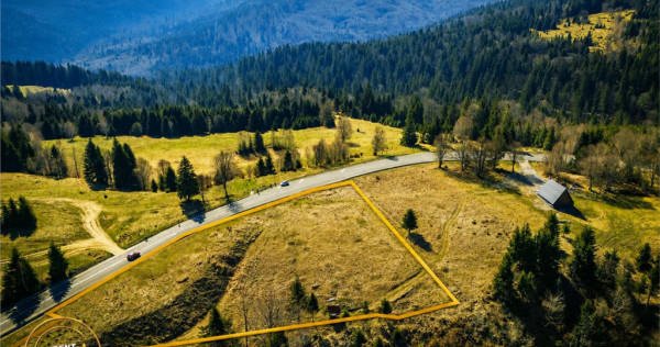 In notabil areal, teren extravilan pe 5.800 mp, Ojdula, Cova