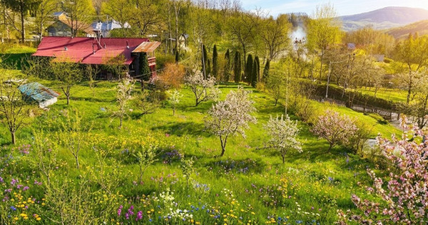 Teren intravilan Slanic Prahova