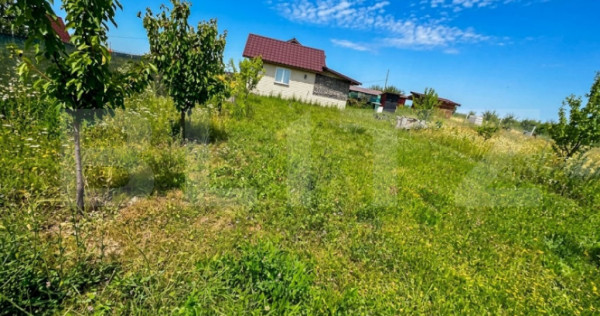 Teren intravilan de 425 mp, cu o cabană construită cu acte