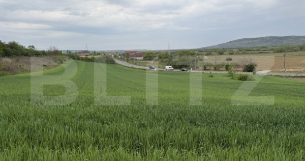 Teren intravilan, in localitatea Bobota in suprafata de 12.5